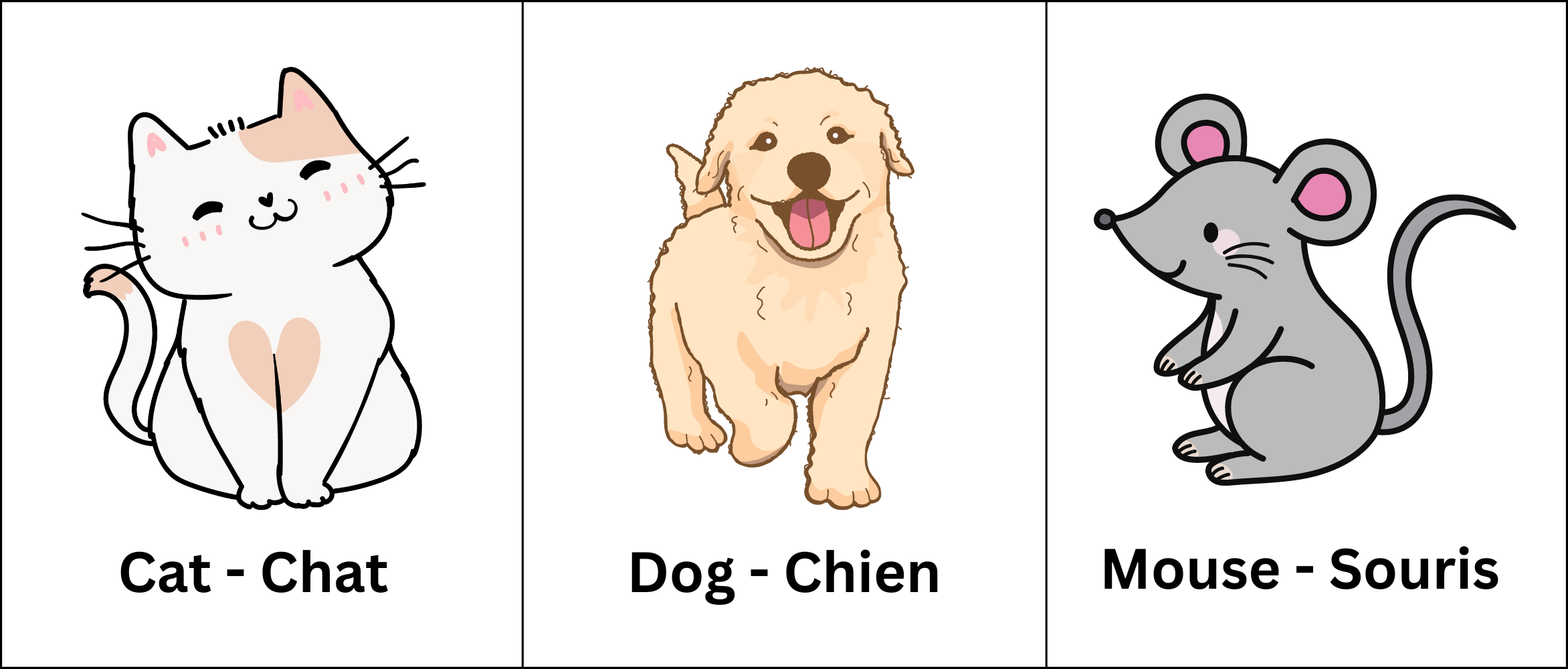 Animal Flashcard
