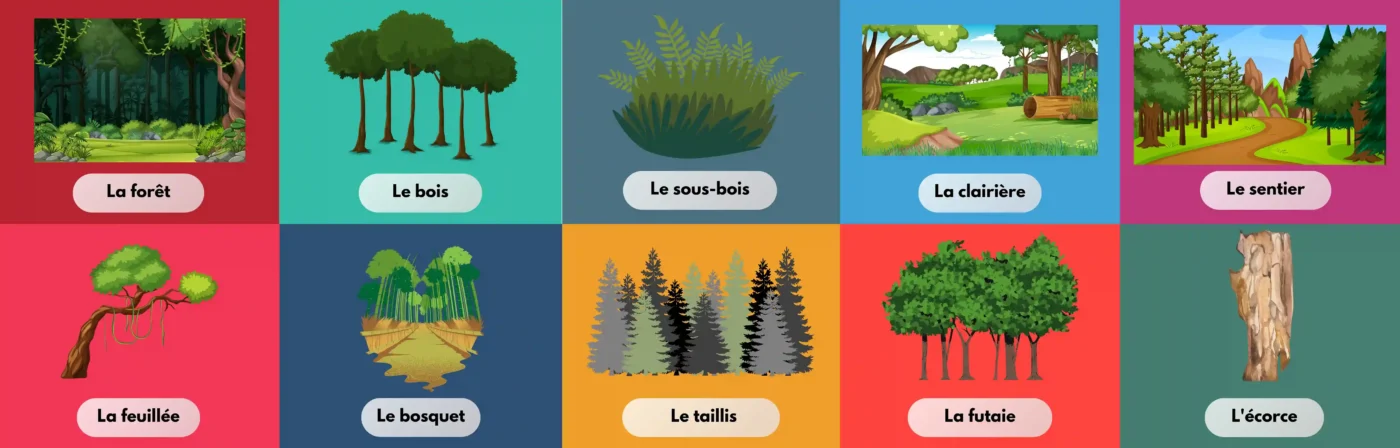 Forests and Woodlands
