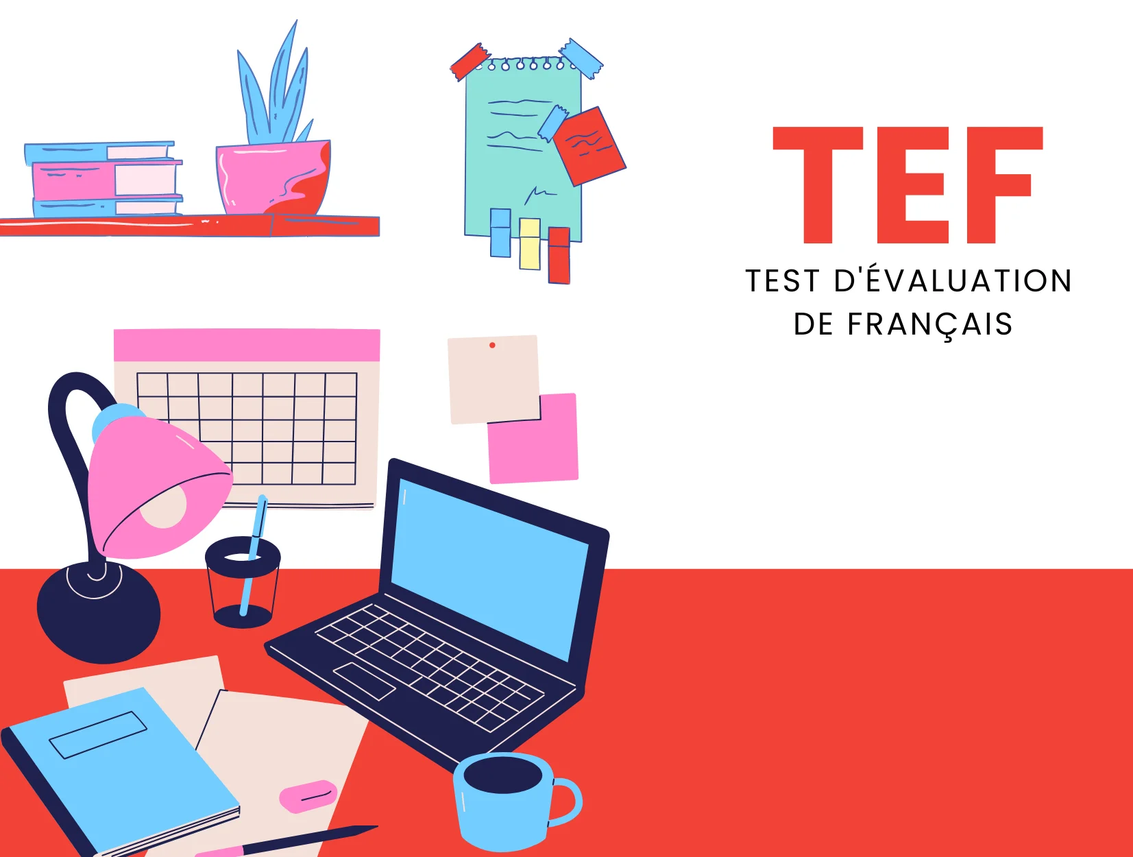 French TEF - prepmyfuture